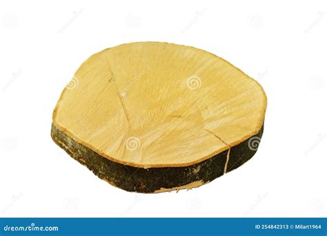 Rough Log Circle Cut Isolated On White Background Stock Image Image