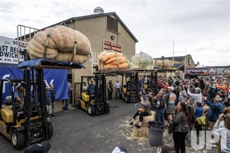 Photo World Championship Pumpkin Weigh Off In Half Moon Bay