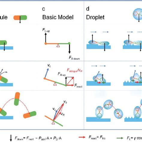 Directional Bouncing Behaviour Of Droplets Impacting The Gradient Download Scientific Diagram