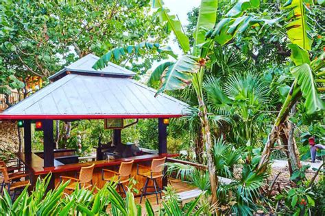 10 Best Cabin Rentals in Florida for a Weekend Getaway | Field Mag