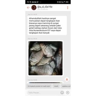 Jual GETAH KATILAYU ASLI BAHAN ESSEN UNTUK MANCING IKAN Shopee Indonesia