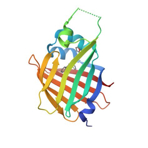 Rcsb Pdb Snt A Resolution Structure Of Nanoluc Luciferase With