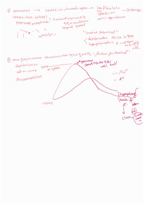 Unit Physiology Summary Psl H Studocu