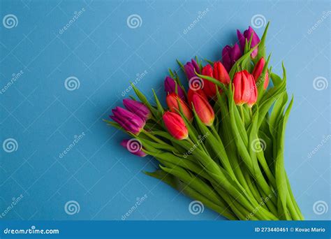 A Bouquet Of Pink Tulips On A Light Blue Background Spring Flower