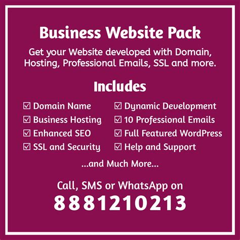 Business Website Pack - Techtapid
