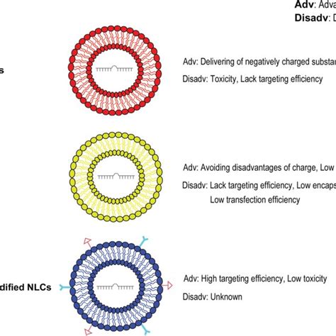 Current Major Types Of Nanostructured Lipid Carriers The Sketch Of Download Scientific Diagram