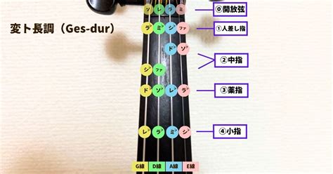 バイオリンの運指表全調まとめ！覚え方や押さえ方のポイントも解説 Violin Prelude