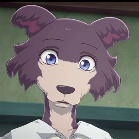 Discuss Everything About Beastars Wiki Fandom