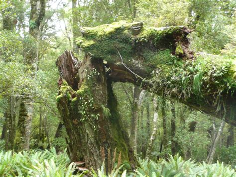 Sustainability - Adventurers Travel Company