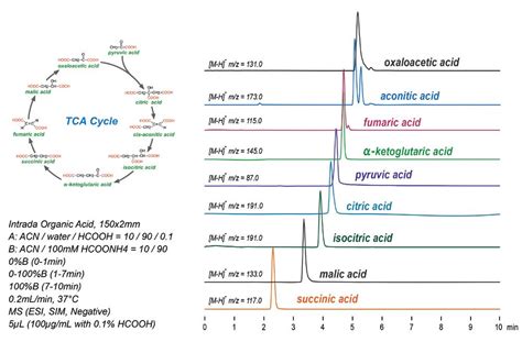 Imtakt Complete Solution For Tca Cycle Organic Acid Analysis