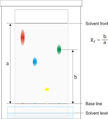 Rf Value Equation Chromatography - Tessshebaylo