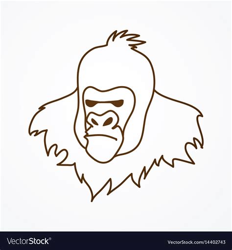 Gorilla Head King Kong Face Angry Big Monkey Vector Image