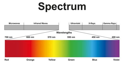 Can humans see ultraviolet light? | Live Science