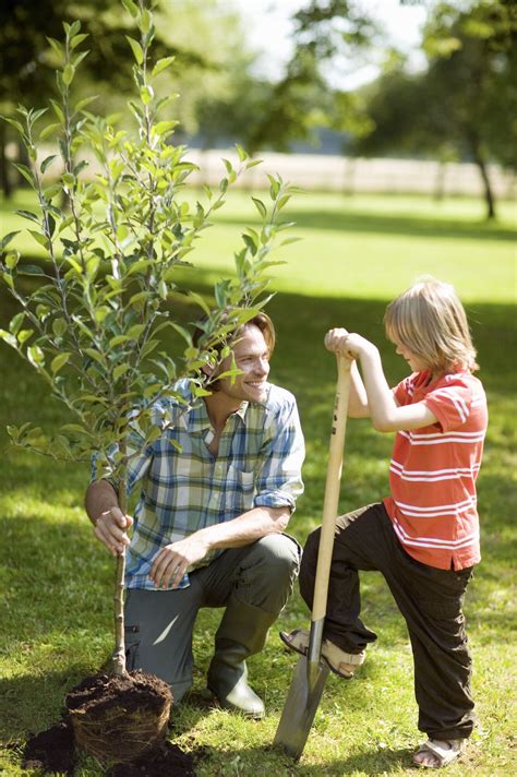 The Best Certified Tree Arborists In Northern California Maguire Tree Care