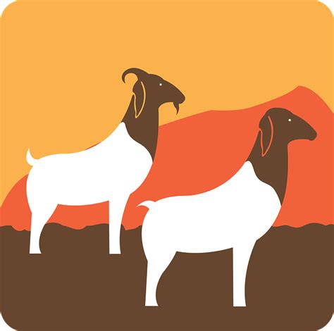 Goats Kid Farm Free Vector Graphic On Pixabay