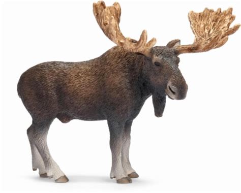 Schleich Bull Moose Figure, 1 Count - Pick ‘n Save