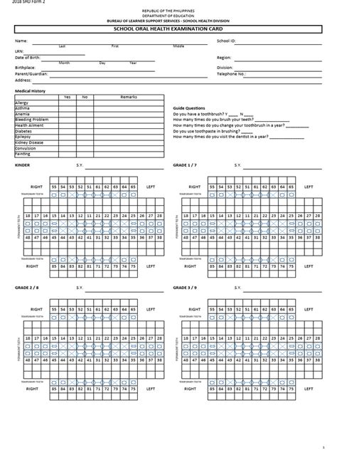 Dental Chart | PDF