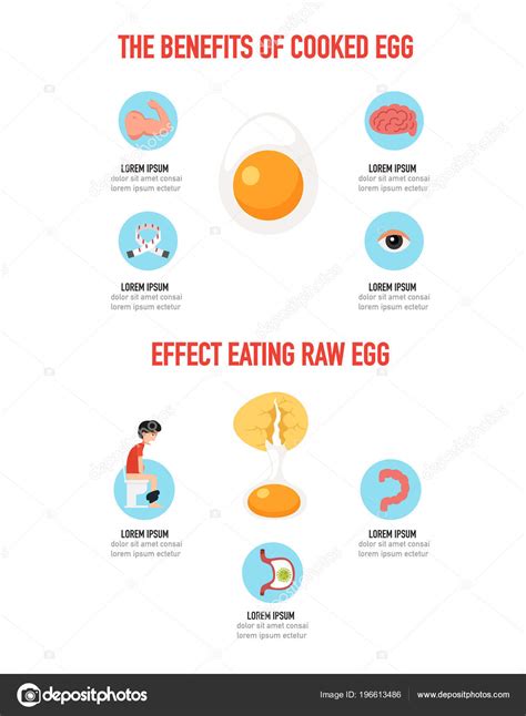 Benefits Cooked Egg Infographic Vector Illustration Stock Vector By