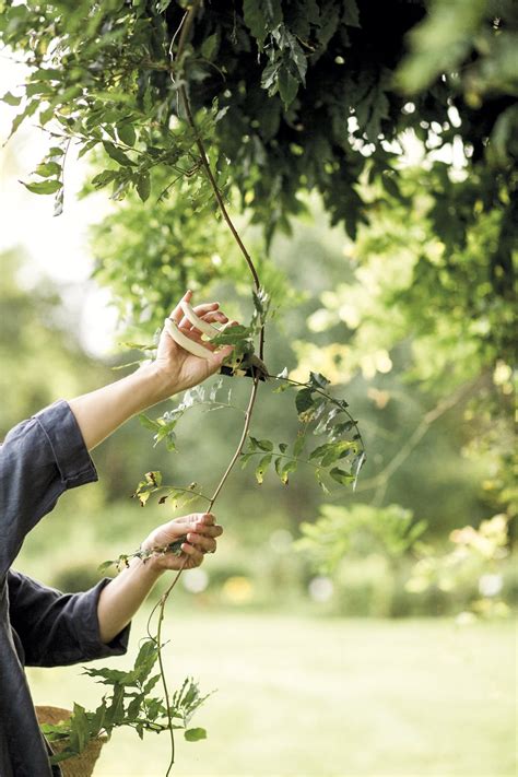 Cuánto cuesta que un paisajista diseñe tu jardín