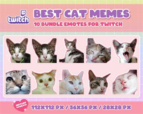 10 Cute Cat Memes Emote Pack 11 Stream Emotes Cute Emotes Etsy