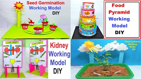 4 Best Science Project Working Models Innovative Award Winning Science Exhibition