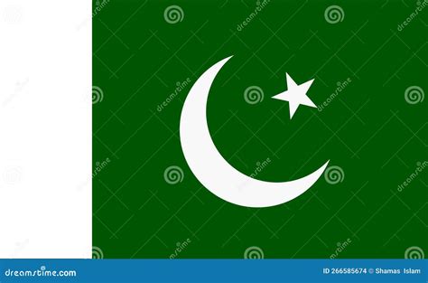 Pakistan Flag Design Vector Stock Vector - Illustration of south ...