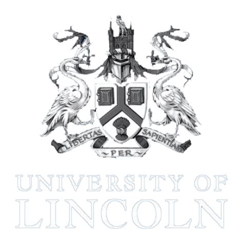 Education Research Groups Centres University Of Lincoln College Of Social Science Research