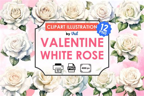 Valentine White Rose Clipart Bundle Graphic By Veil · Creative Fabrica