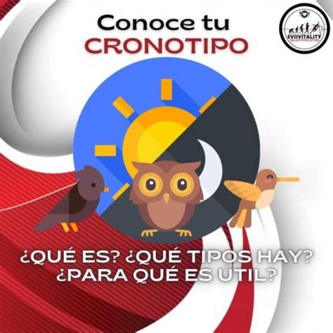 Conoce Tu Cronotipo Alondra B Ho O Colibr