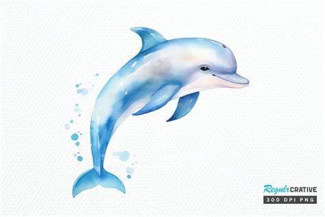 Baby Dolphin Watercolor PNG Clipart