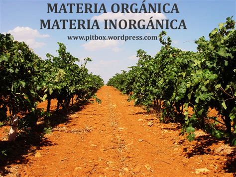 Ejemplos De Materia Organica