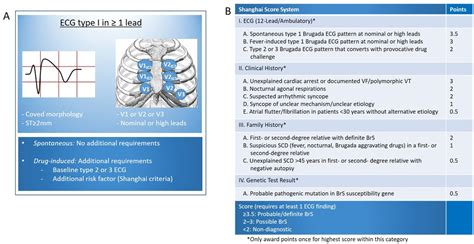 Brugada Syndrome Update And Future Perspectives Heart