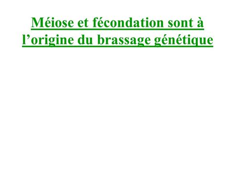 Les Points Cl S Du Programme De Terminale Ppt T L Charger