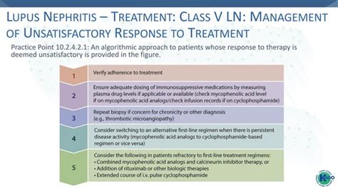 Lupus Nephritis Kdigo 2021 Guidelines Dr Gawad