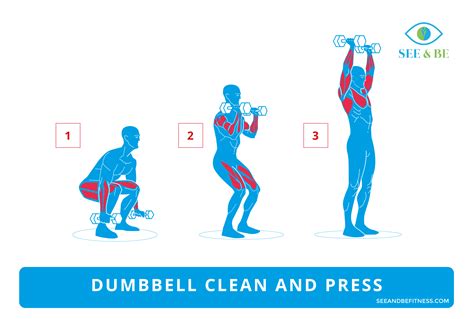 Dumbbell Clean