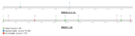 Microorganisms Free Full Text Patterns Of Genomic Variations In The Plant Pathogen Dickeya