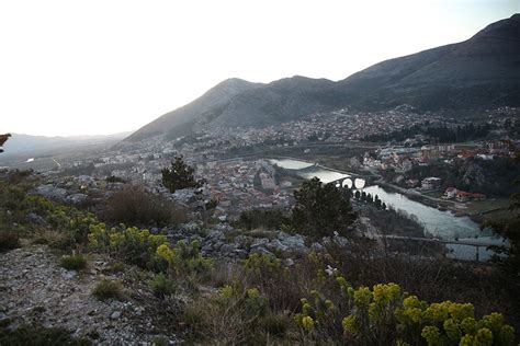 U Trebinju E Se Obilje Iti Praznik Mimoze