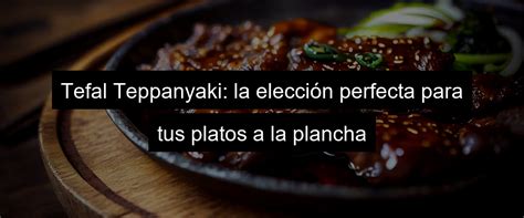 Teppanyaki Tefal La Mejor Opci N Para Tus Platos A La Plancha