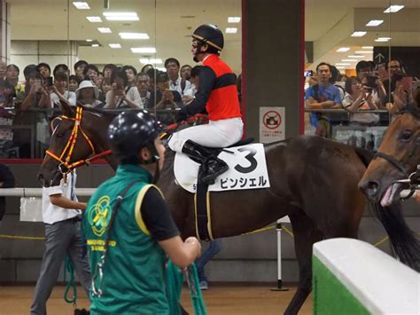 【東京5r2歳新馬】ダノンラスターが快勝！たけし命名キタノインパクトは4着 競馬ニュースなら競馬のおはなし