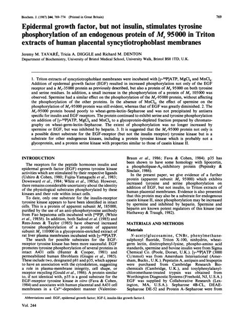 Pdf Epidermal Growth Factor But Not Insulin Stimulates Tyrosine