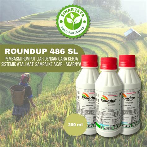 Jual Original Roundup Sl Herbisida Pembasmi Rumput Liar