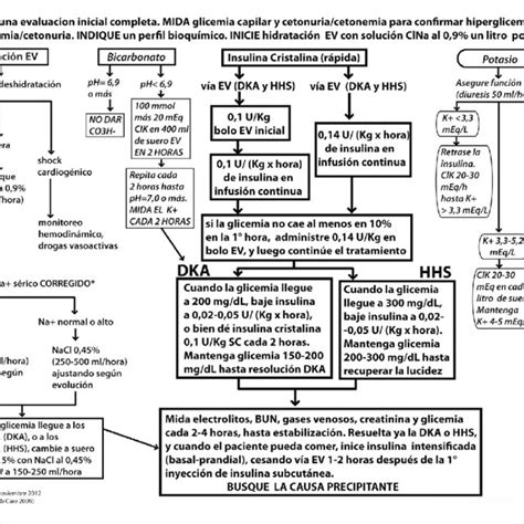 (PDF) [Treatment of diabetic ketoacidosis using 2009 American Diabetes ...