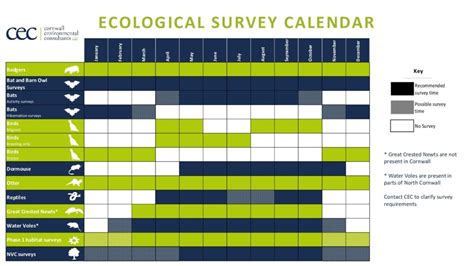 Why Are Bat Surveys Needed For Planning Cornwall Environmental