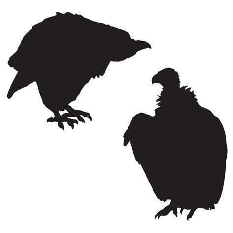 Vulture Silhouette Illustration 47809429 Vector Art at Vecteezy