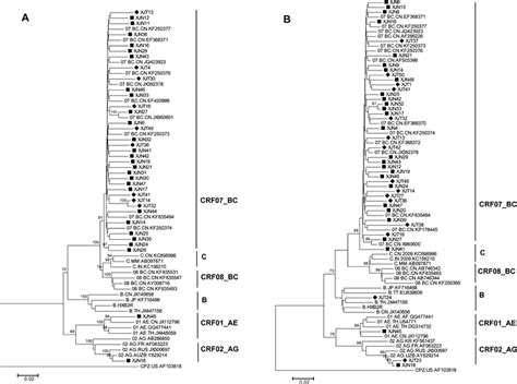 Neighbor Joining Phylogenetic Trees Of Rt And Pr Genes From