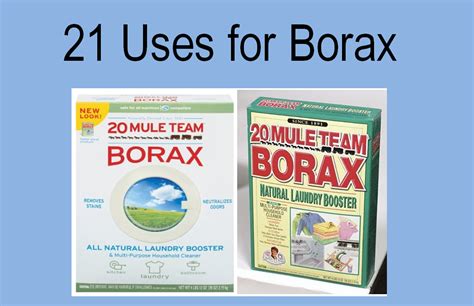 Top 21 Borax Uses | Family Finds Fun