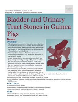 Bladder And Urinary Tract Stones In Guinea Pigs