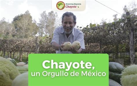 Chayote Un Orgullo De M Xico Secretar A De Agricultura Y Desarrollo