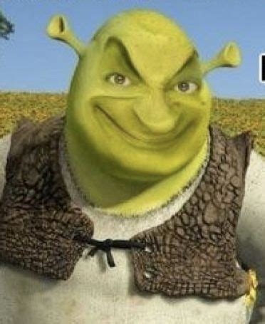 Meme Shrek Funny Shrek Meme Funny Image Funny Photo Aesthetic Shrek