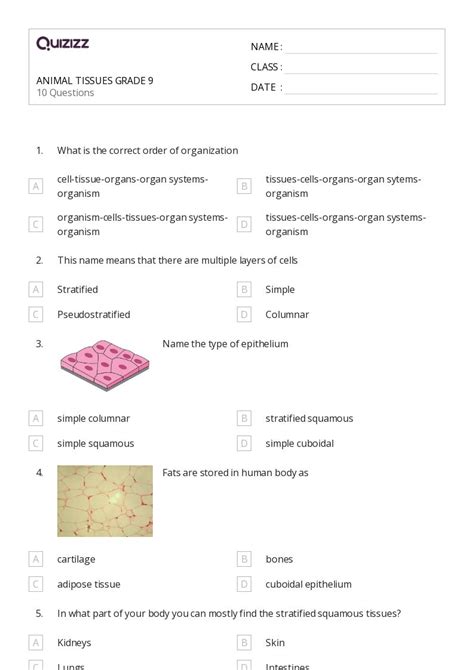 Tissues Worksheets For Th Year On Quizizz Free Printable